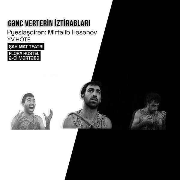 Gənc Verterin iztirabları