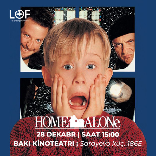 Evde Tek Başına (1990)