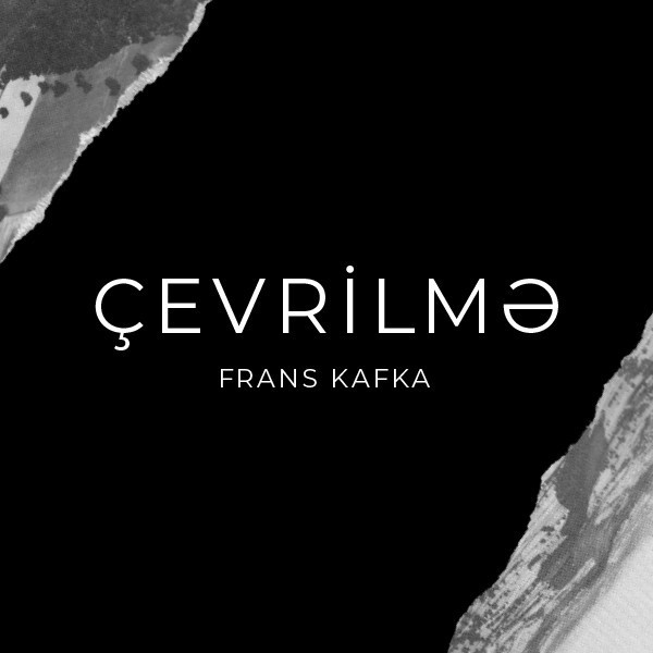 The Metamorphosis – Franz Kafka