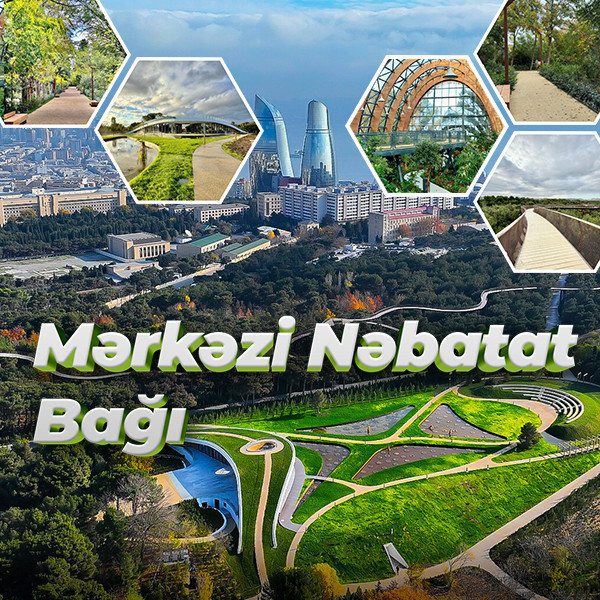 Mərkəzi Nəbatat bağı