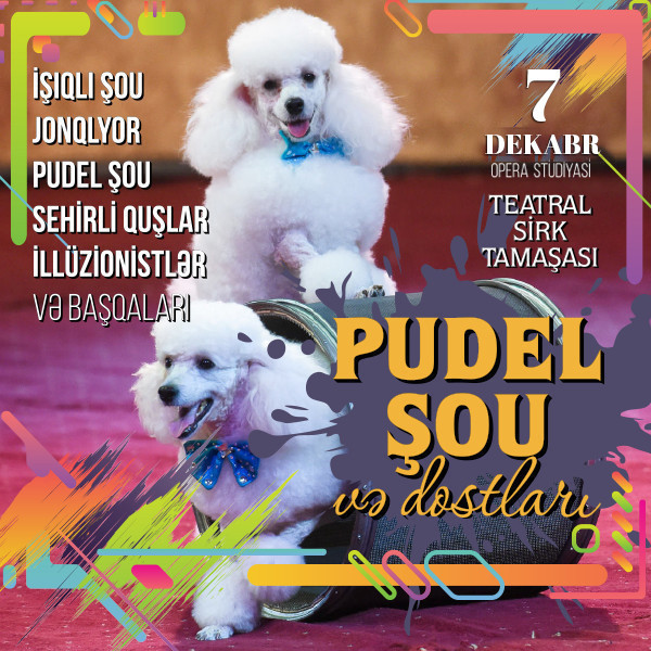 Poodle show and friends