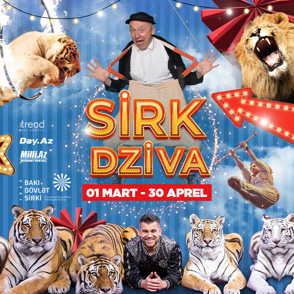 Международный цирк: DZIVA