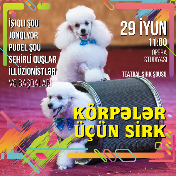 Цирк для малышей