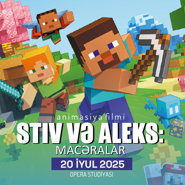 The Adventures of Steve and Alex