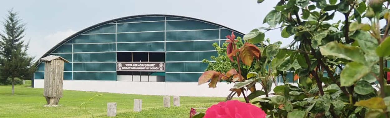 “Orta Əsr Ağsu Şəhəri” DÖVLƏT TARİX-MƏDƏNİYYƏT QORUĞU