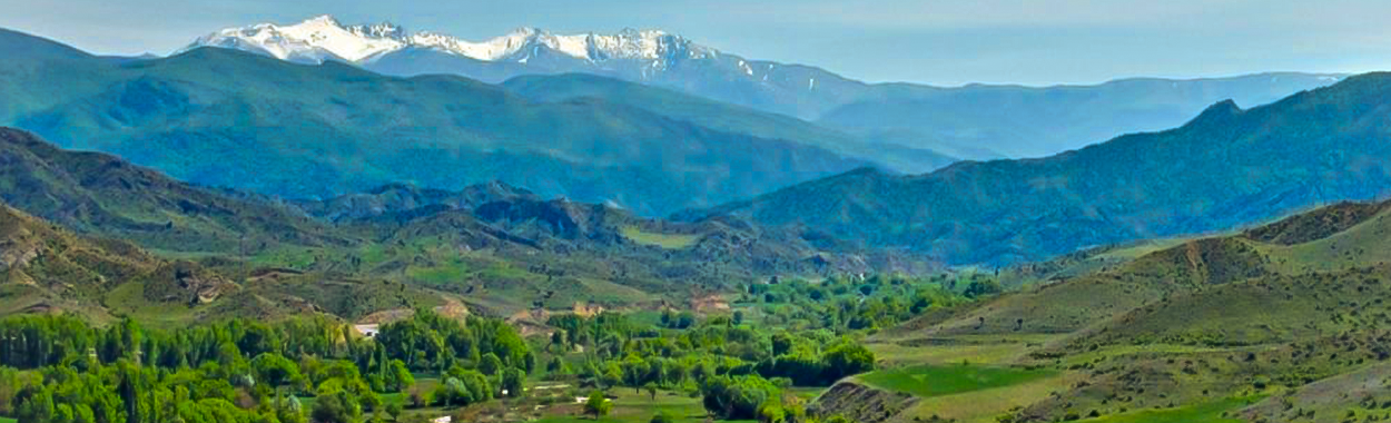 Товузский район