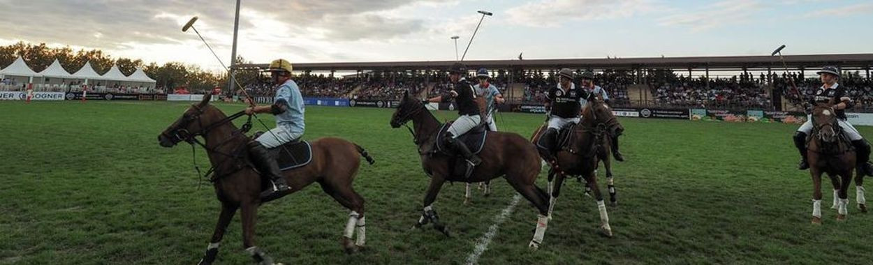 Elite Horse & Polo Club